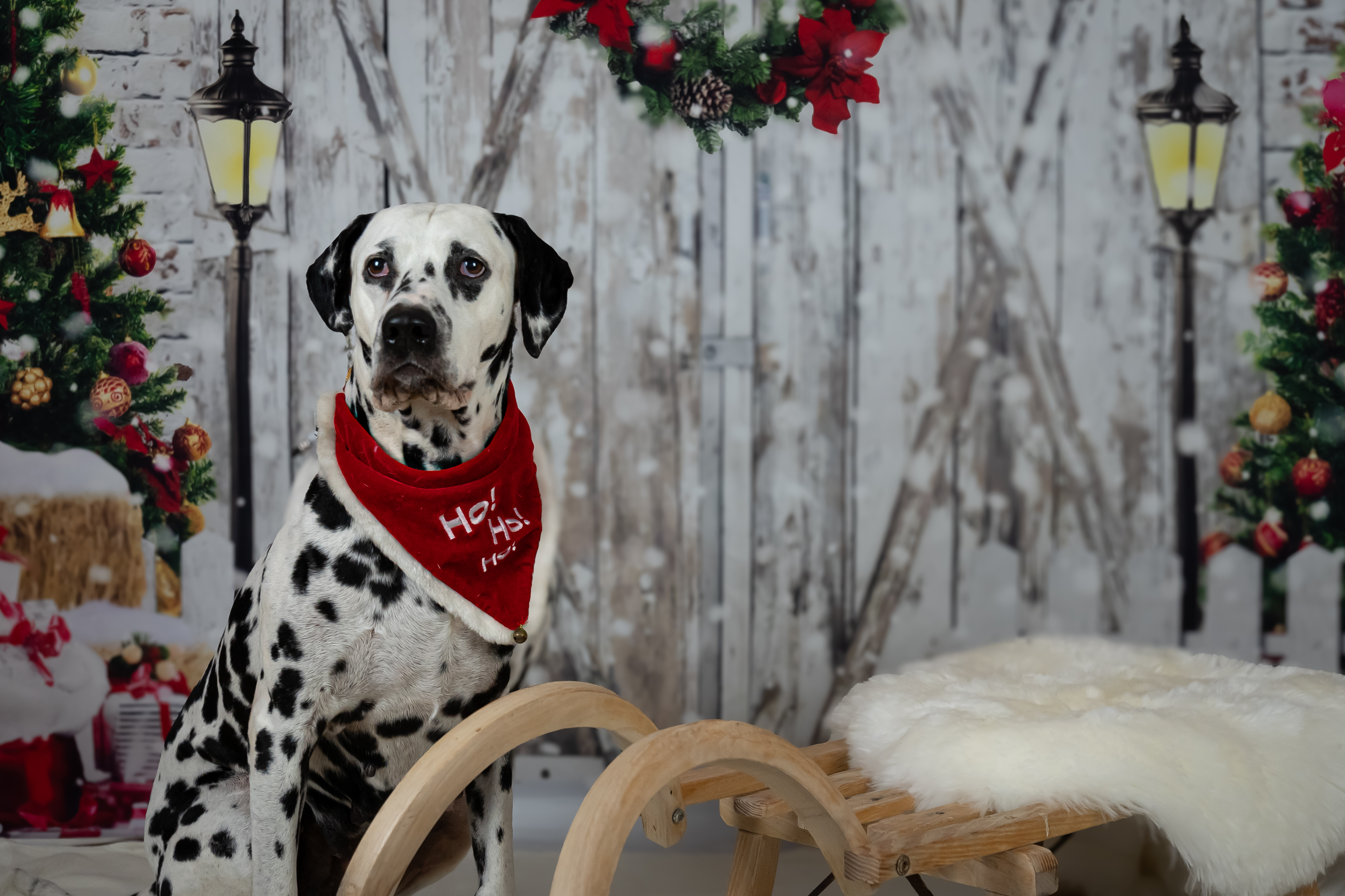 foto 29.11.19 22 21 18