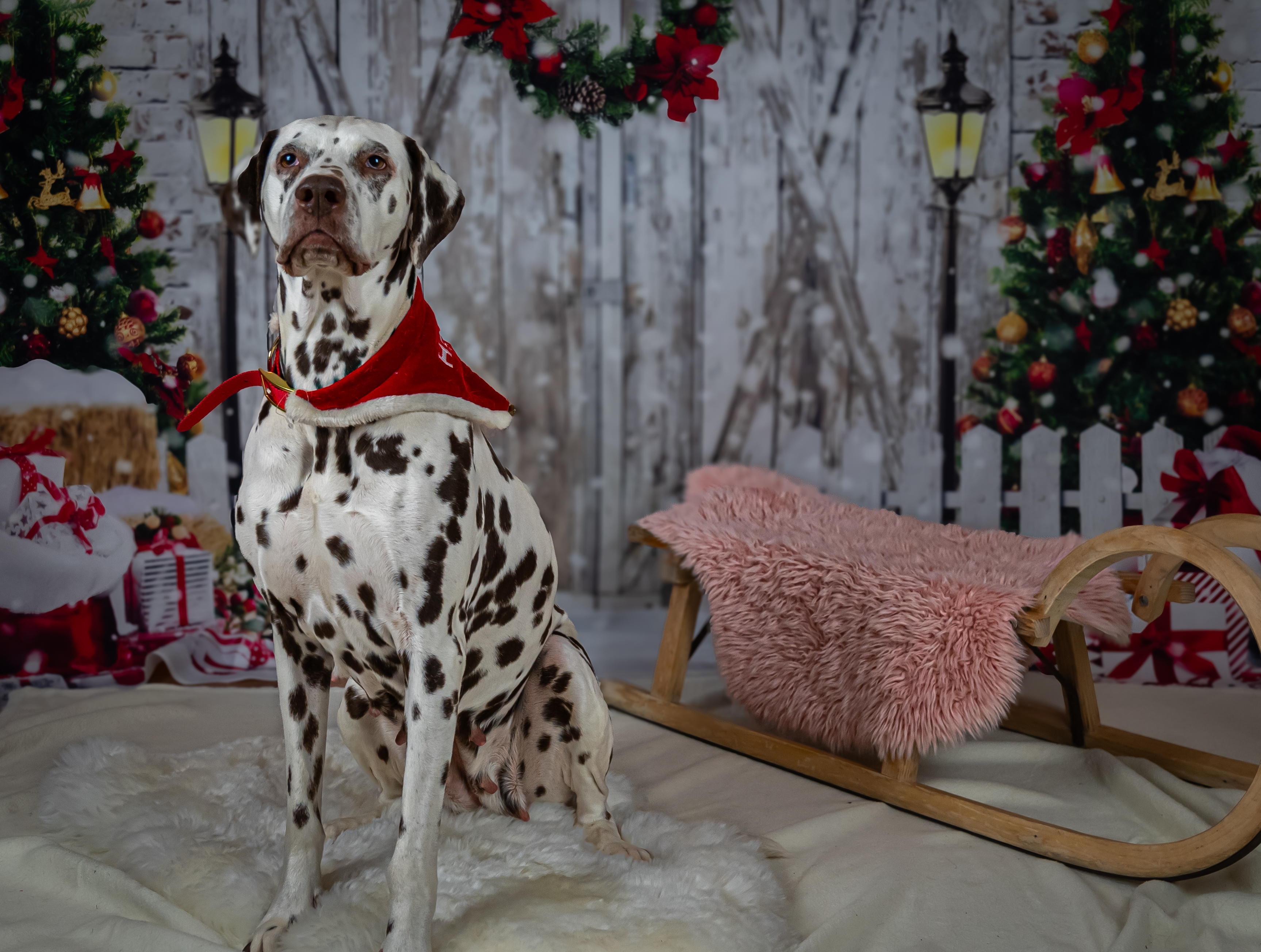 foto 29.11.19 22 53 43