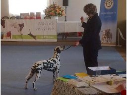 Basima vom Hause Fiedanu