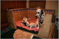 Basima vom Hause Fiedanu