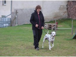 Emilio vom Hause Fiedanu