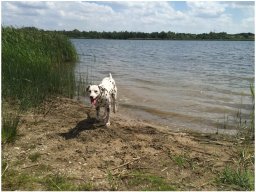 Emilio vom Hause Fiedanu