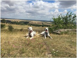 Emilio vom Hause Fiedanu