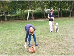 Emilio vom Hause Fiedanu