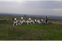 Emilio vom Hause Fiedanu