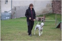 Emilio vom Hause Fiedanu