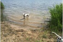 Emilio vom Hause Fiedanu