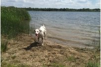 Emilio vom Hause Fiedanu