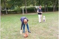 Emilio vom Hause Fiedanu