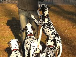 Abby vom Hause Fiedanu „Abby“