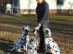 Abby vom Hause Fiedanu „Abby“