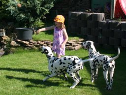 Abby vom Hause Fiedanu „Abby“