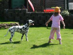 Abby vom Hause Fiedanu „Abby“