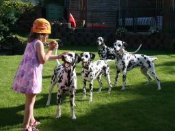 Abby vom Hause Fiedanu „Abby“