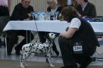 Abby vom Hause Fiedanu „Abby“